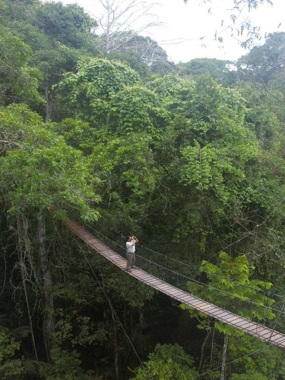 Inkaterra Reserva Amazonica プエルト・マルドナード エクステリア 写真